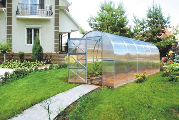 Polycarbonate Greenhouse Compact 240 - Image 2