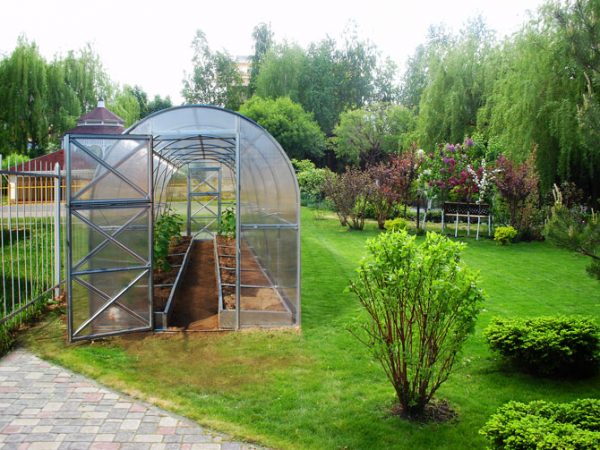 Polycarbonate Greenhouse Compact 240 - Image 3