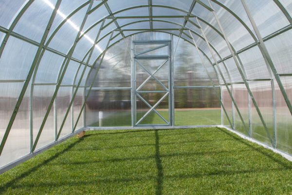 Polycarbonate Greenhouse Standard 180 - Image 3