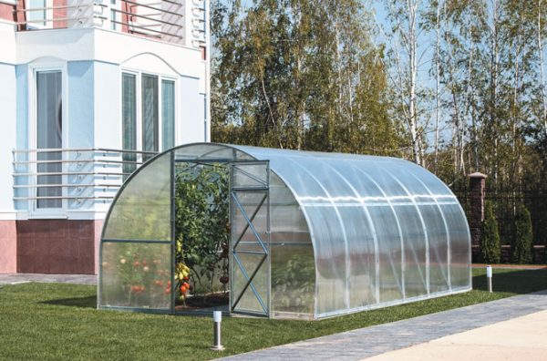 Polycarbonate Greenhouse Standard 180 - Image 2