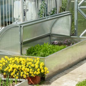 Standart Mini Greenhouse
