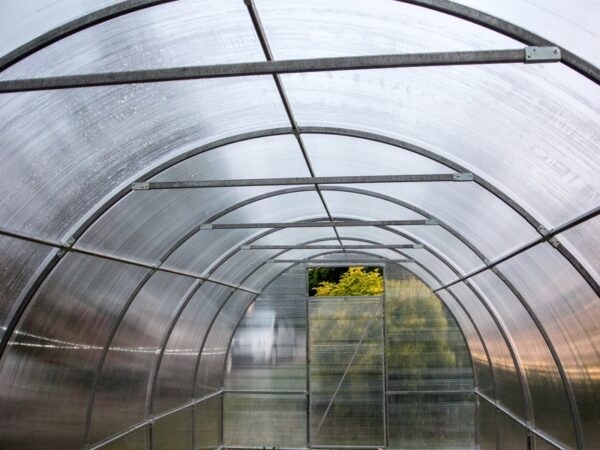 Greenhouse Easy-Up polycarbonate 4 mm - Image 2