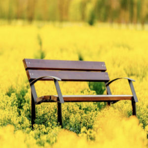 Park bench "Cent I''