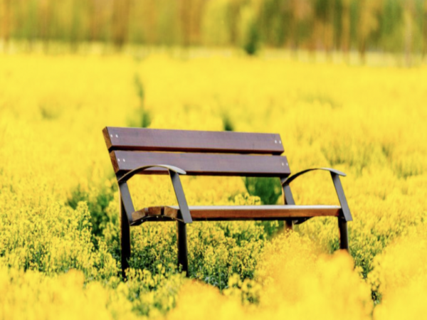 Park bench "Cent I''