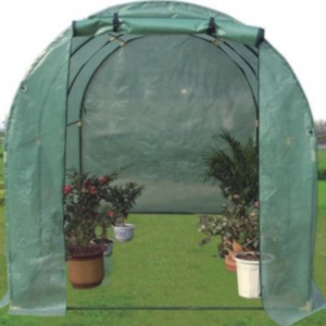 Film Greenhouses 6m2