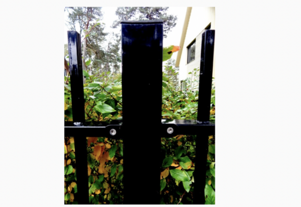 Fence post 80 x 80 mm - Image 2