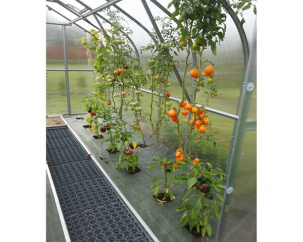 Greenhouse KLASIKA STANDART 2,5x2m with foundations and 4mm polycarbonate - Image 3