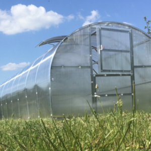Greenhouse BALTIC LT 3x12m with 4mm polycarbonate