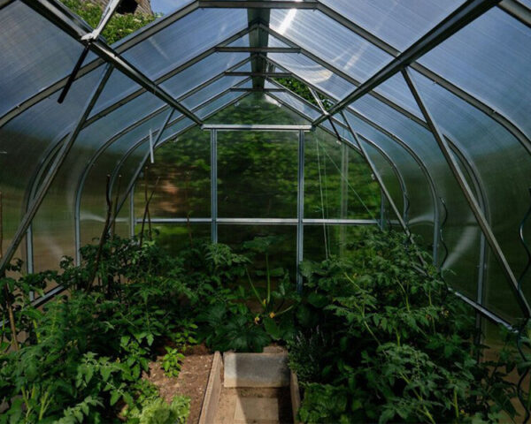Greenhouse KLASIKA STANDART 2,5x2m with foundations and 4mm polycarbonate - Image 5