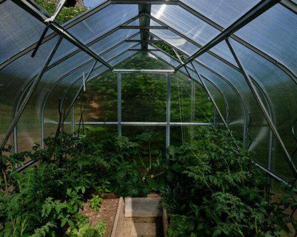 Greenhouse KLASIKA STANDART 2,5x10m with foundations and 4mm polycarbonate - Image 5