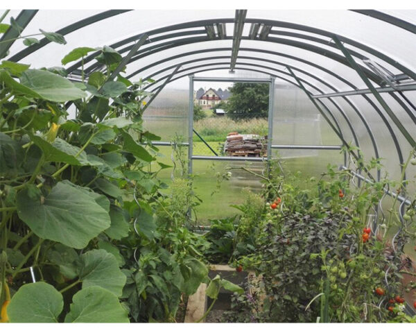 Greenhouse KLASIKA 3x6m with bases and 4mm polycarbonate - Image 3