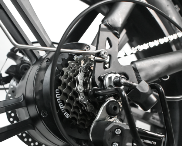 HR-G50 electric bike - Image 5