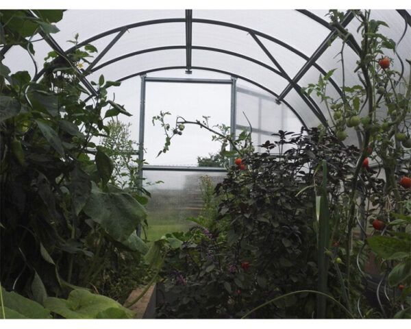 Greenhouse KLASIKA 3x4m with bases and 4mm polycarbonate - Image 3