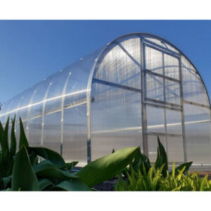 Greenhouse KLASIKA 3x8m with bases and 4mm polycarbonate