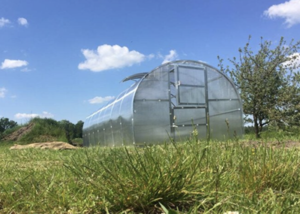 Greenhouse BALTIC LT 3x2 m, 4mm polycarbonate - Image 3
