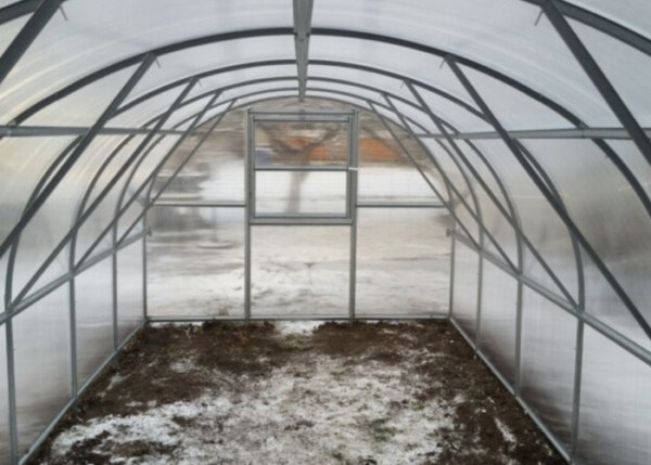 Greenhouse BALTIC LT 3x8m with 4mm polycarbonate cover - Image 3