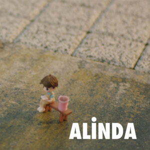 Paving stone Alinda N-S11R1 black