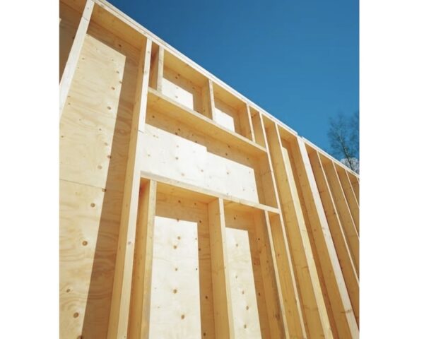 Plywood Cone C+/C CE2+ 2440 x 1200 x 12 mm (m2) - Image 2
