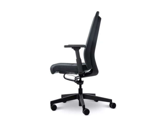 Interstuhl PUREis3, dynamic office chair - Image 2