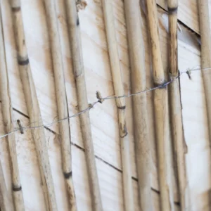 Sparse reed mat stapled to a wooden frame.