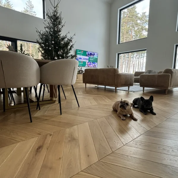 Woodengold tammi ranskalainen kalanruotoparketti chevron 45°/60° T&G obiekt (120x650 mm)